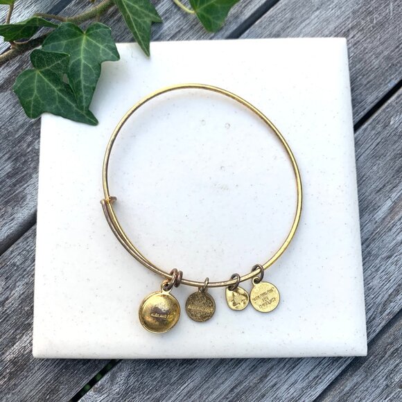 Alex and Ani Birthstone Bangle – September Sapphire – Russian Gold Finish - Picture 2 of 2